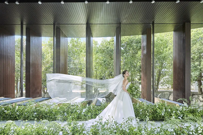 お得なプランを特別にご用意