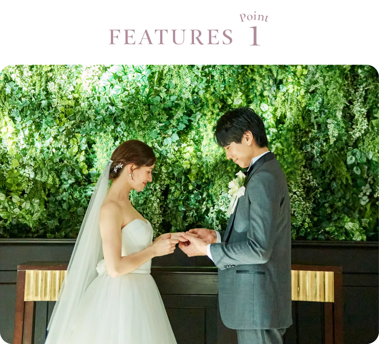 お気軽プランを豊富にご用意