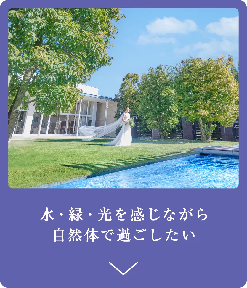 水・緑・光を感じながら自然体で過ごしたい