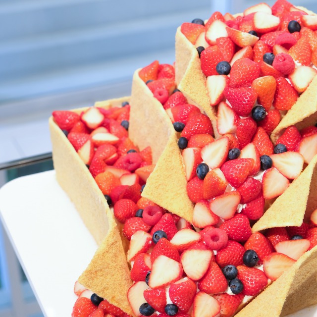 レポートギャラリー画像