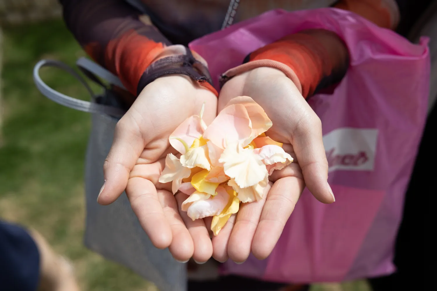 レポートギャラリー画像