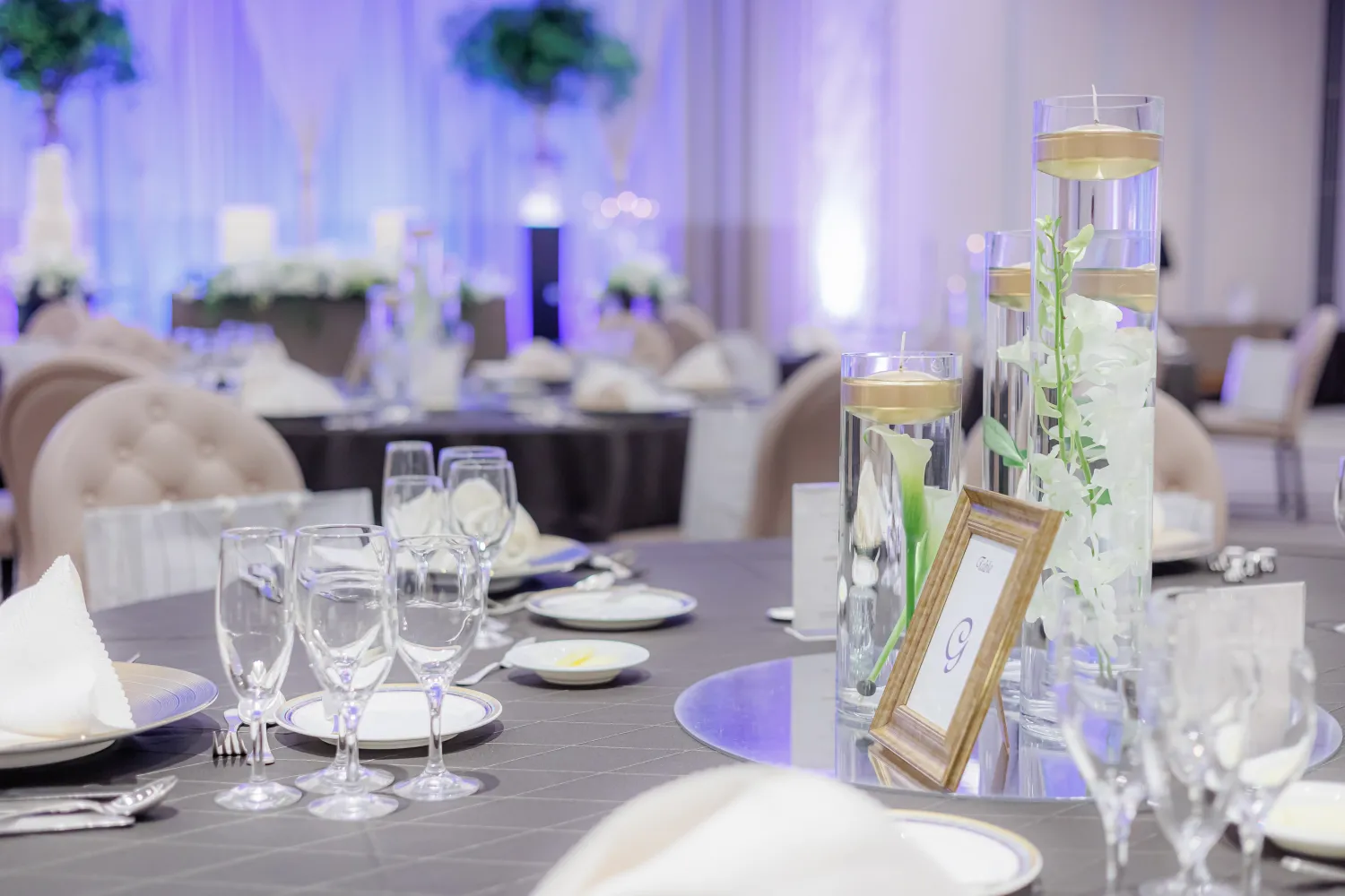 レポートギャラリー画像