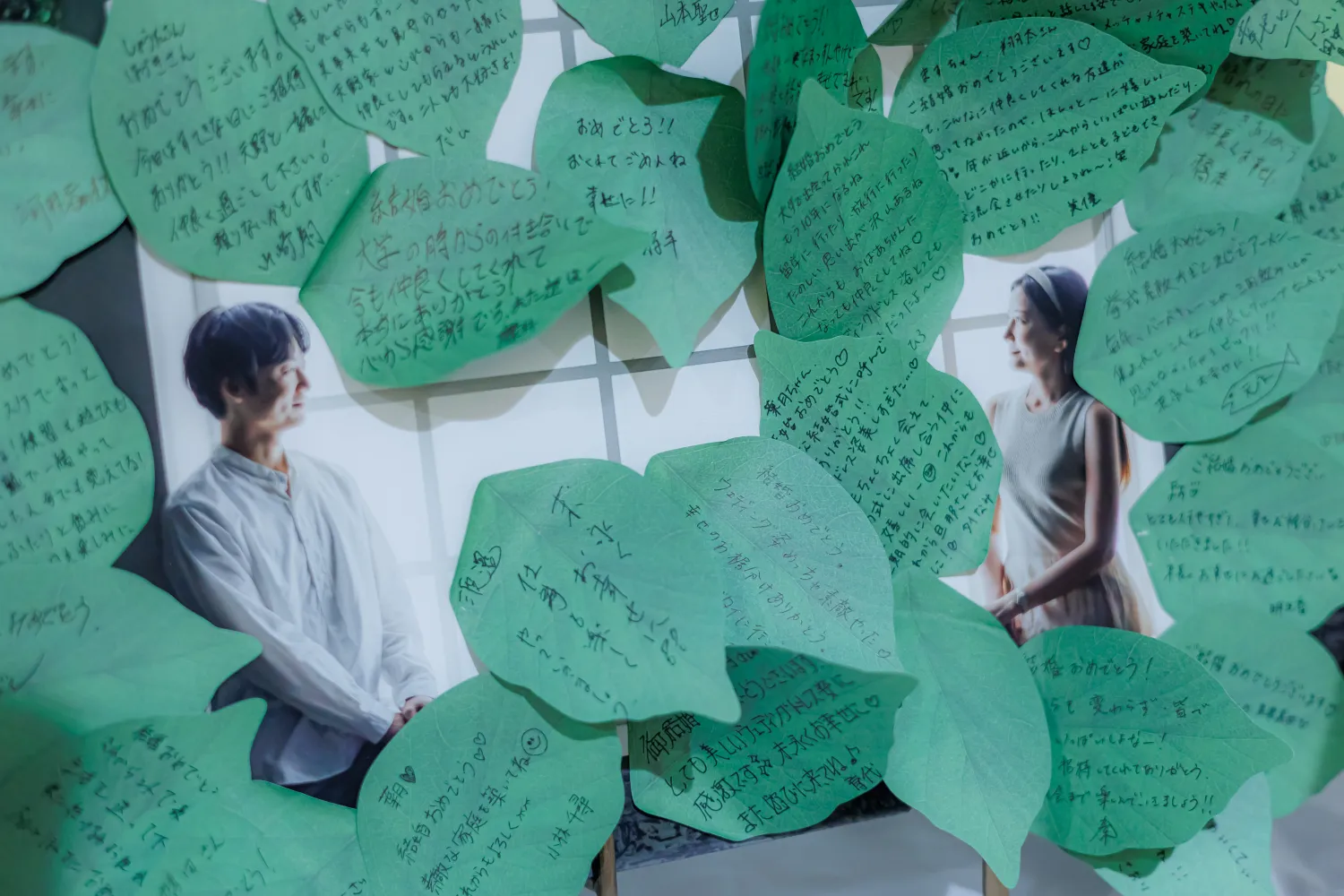 レポートギャラリー画像