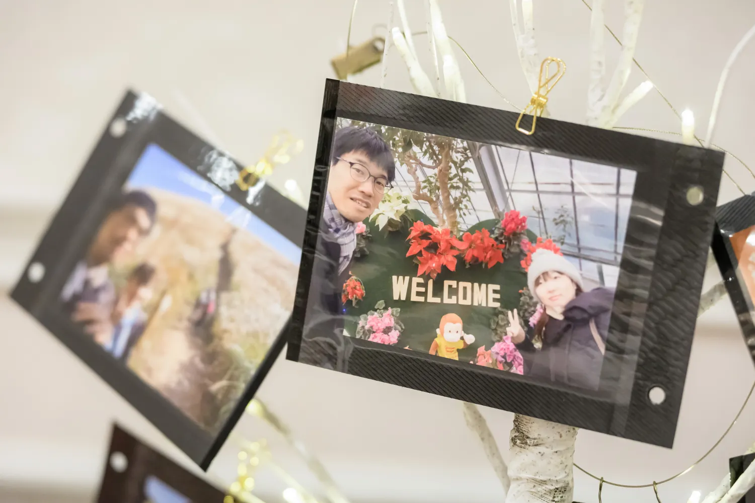 レポートギャラリー画像