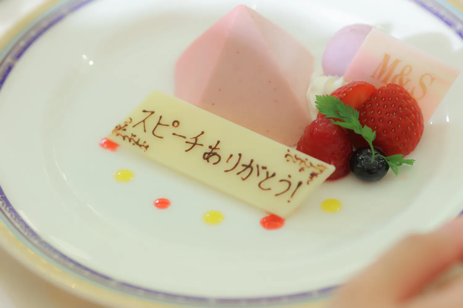 レポートギャラリー画像