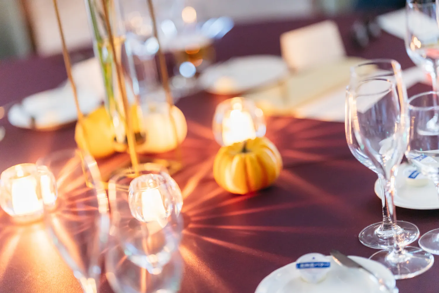 レポートギャラリー画像