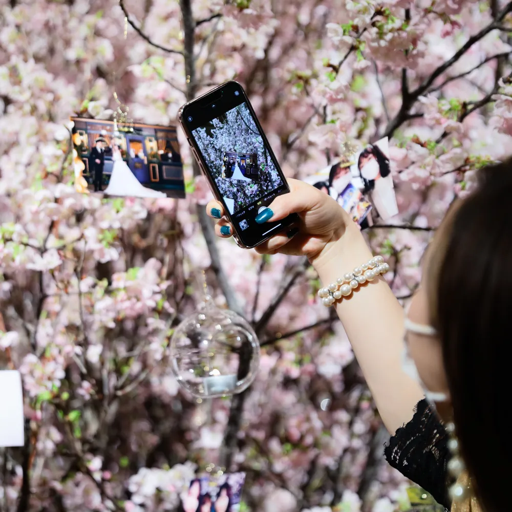 レポートギャラリー画像