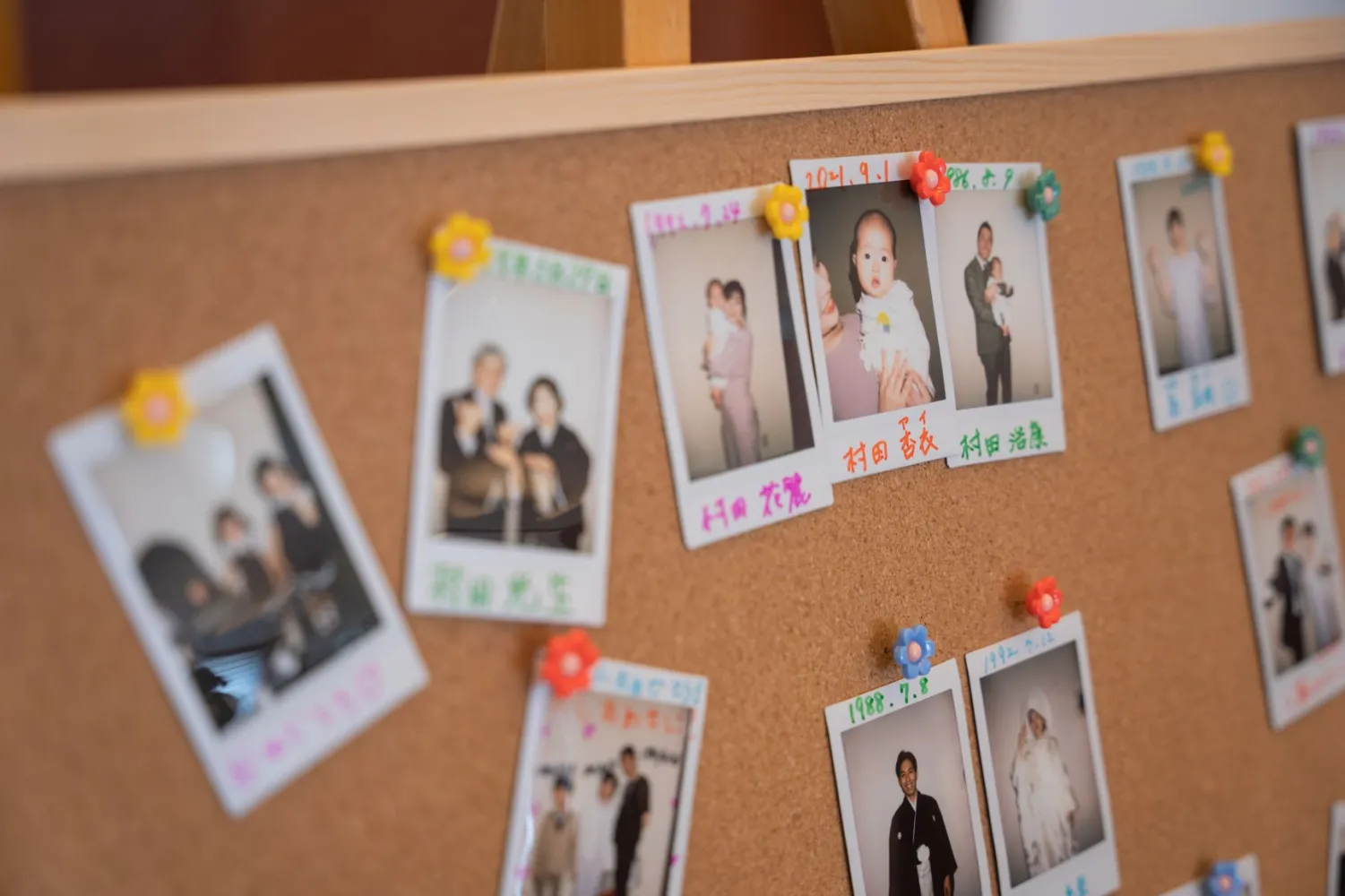 レポートギャラリー画像