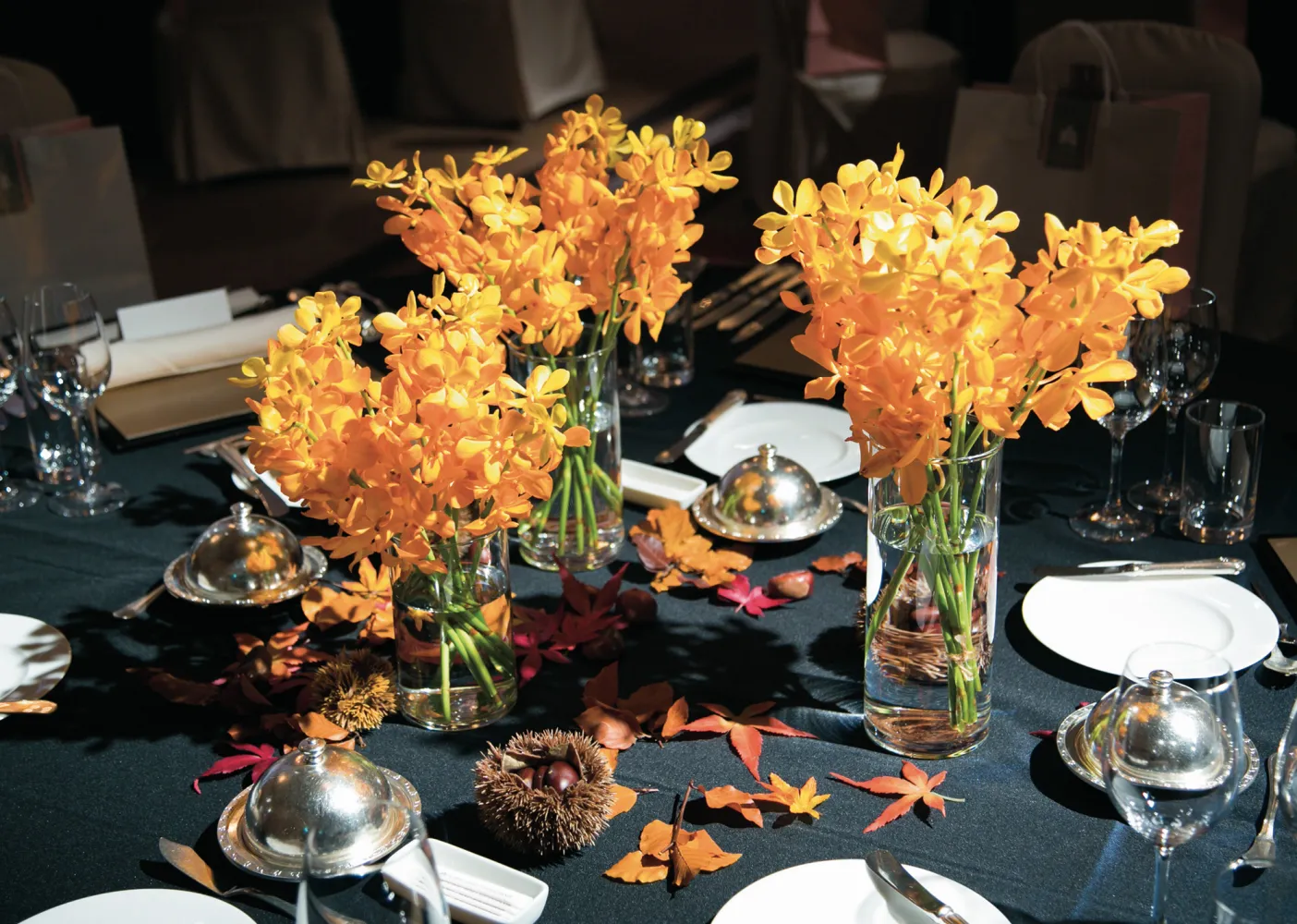 レポートギャラリー画像