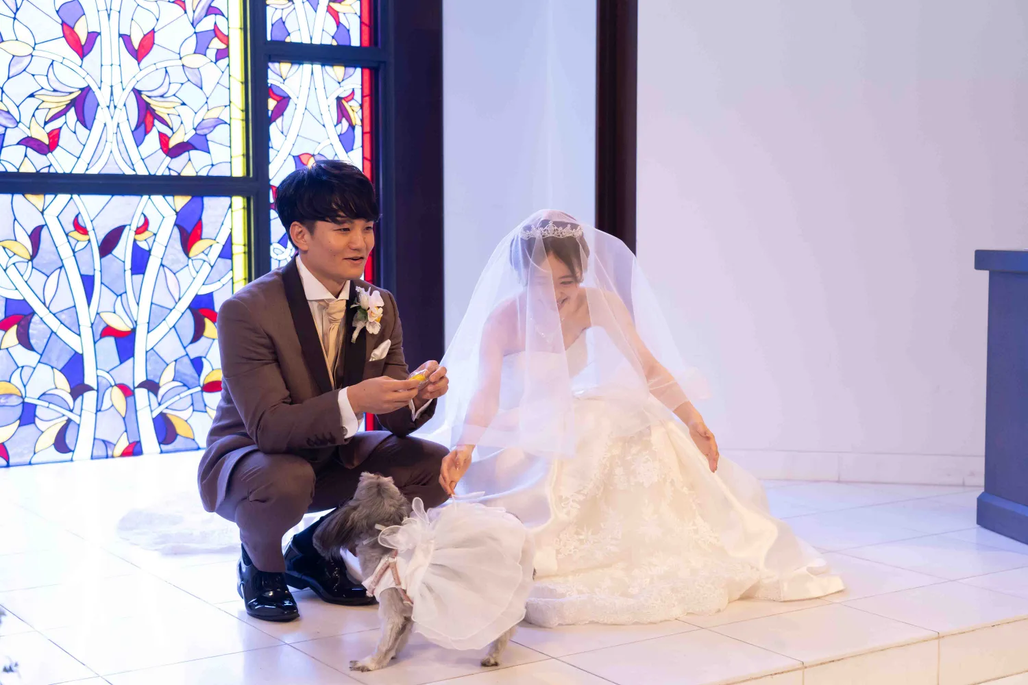 レポートギャラリー画像