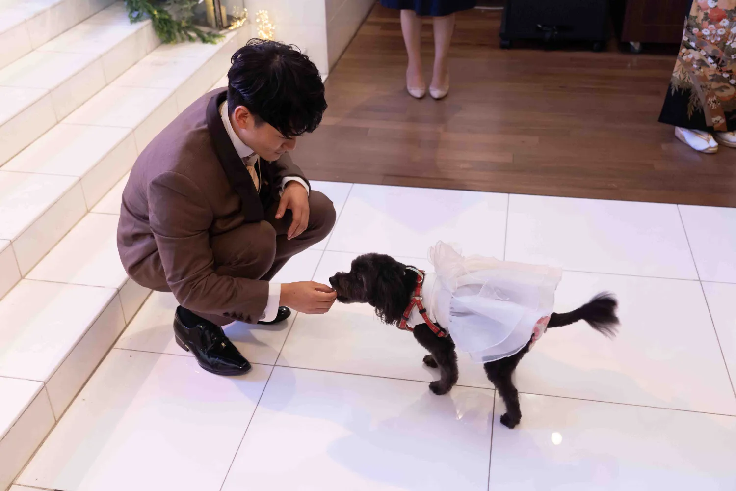 レポートギャラリー画像