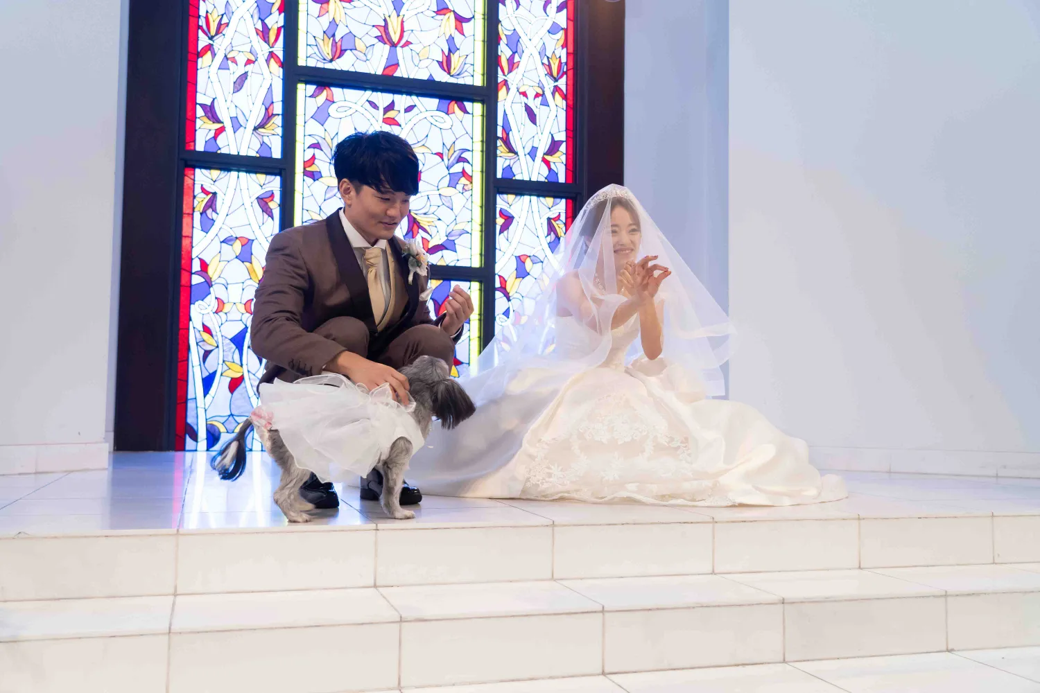 レポートギャラリー画像