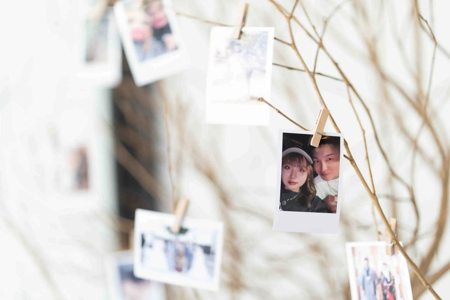 レポートギャラリー画像