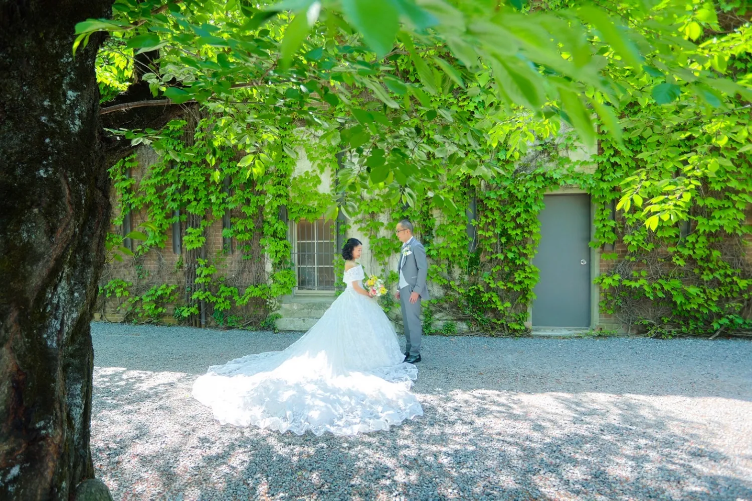 レポートギャラリー画像