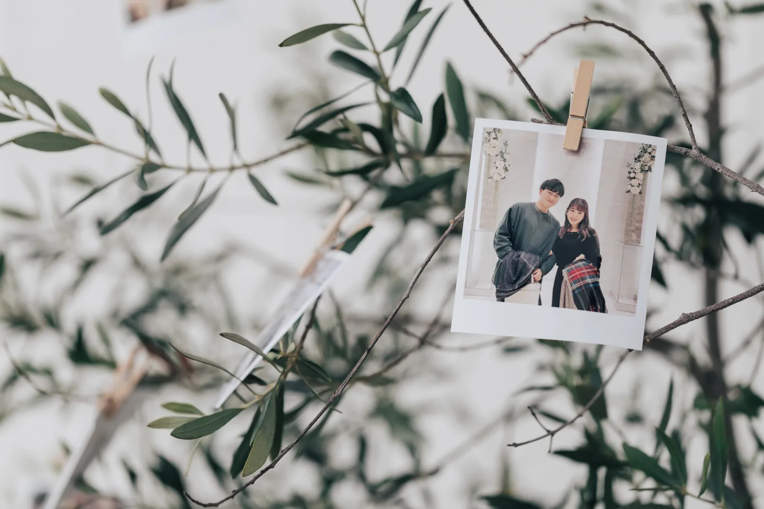 レポートギャラリー画像