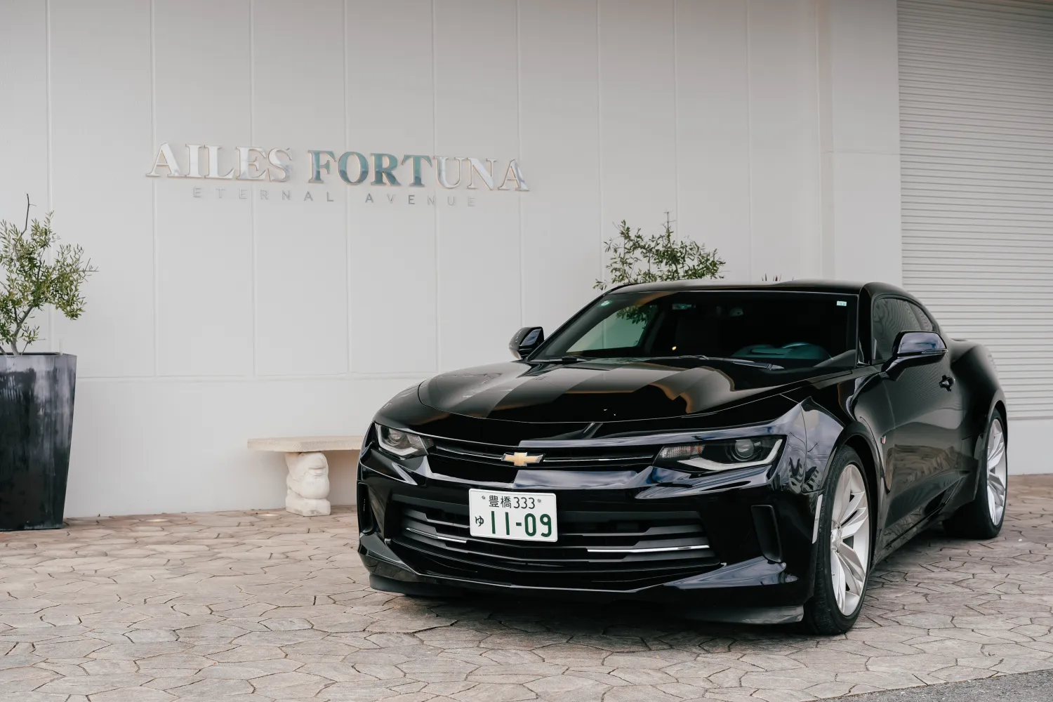 レポートギャラリー画像