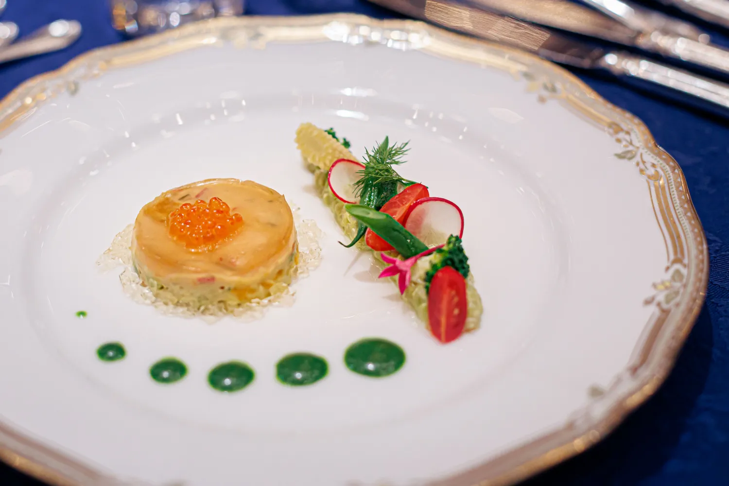 レポートギャラリー画像