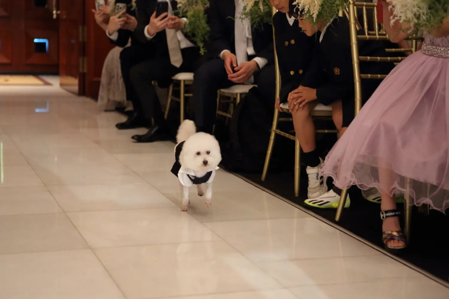 レポートギャラリー画像