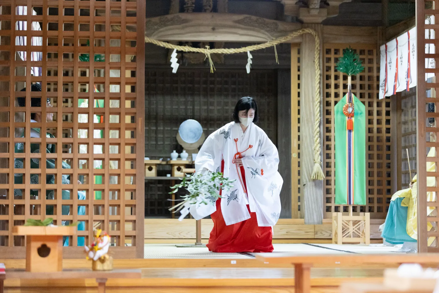 レポートギャラリー画像