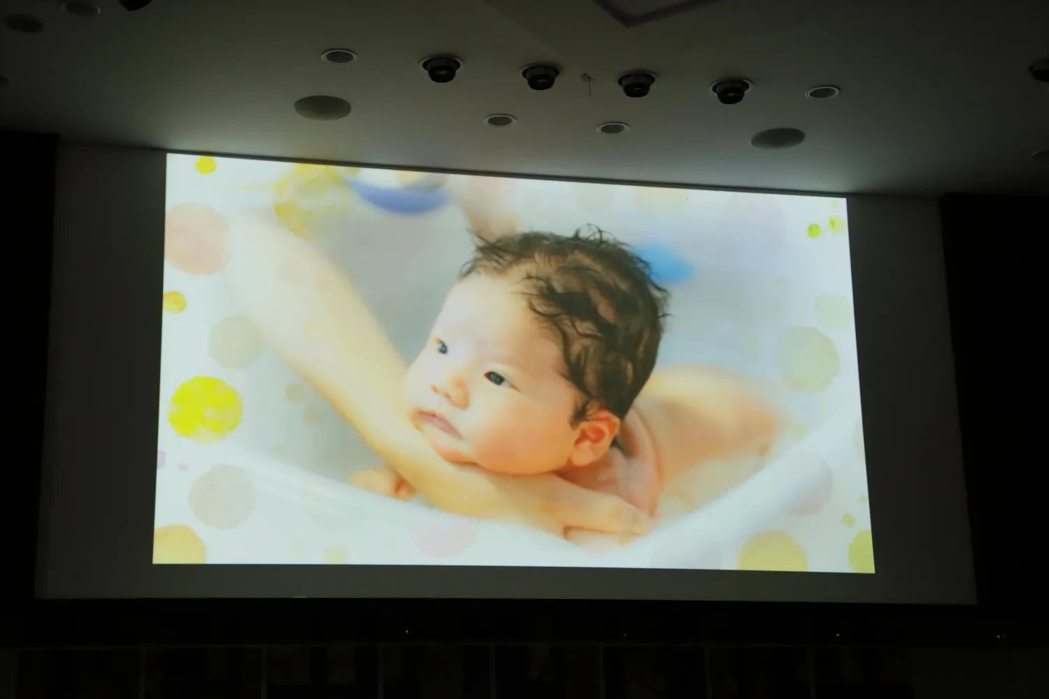 レポートギャラリー画像