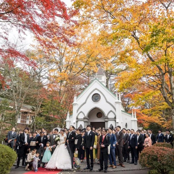 レポートギャラリー画像