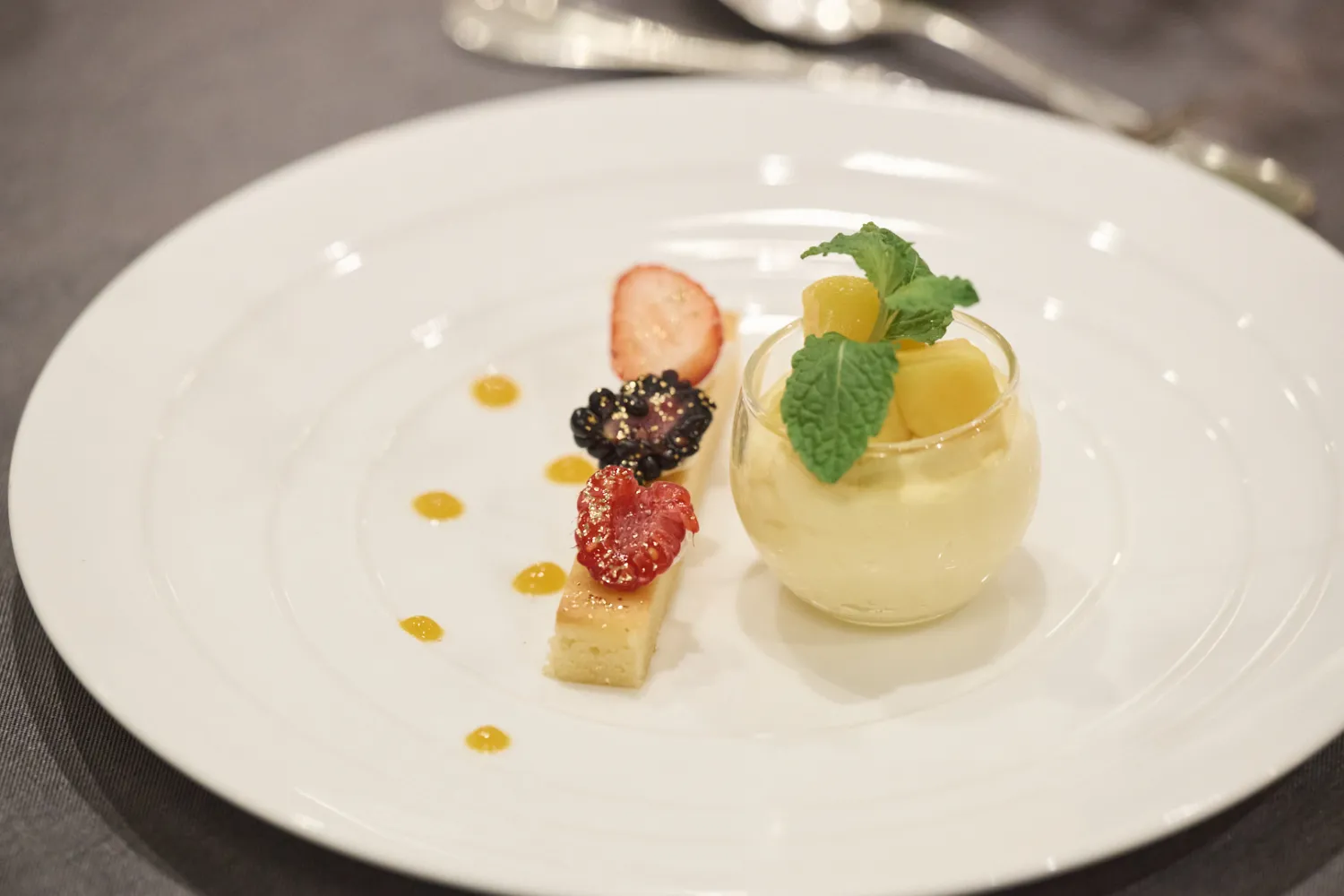 レポートギャラリー画像