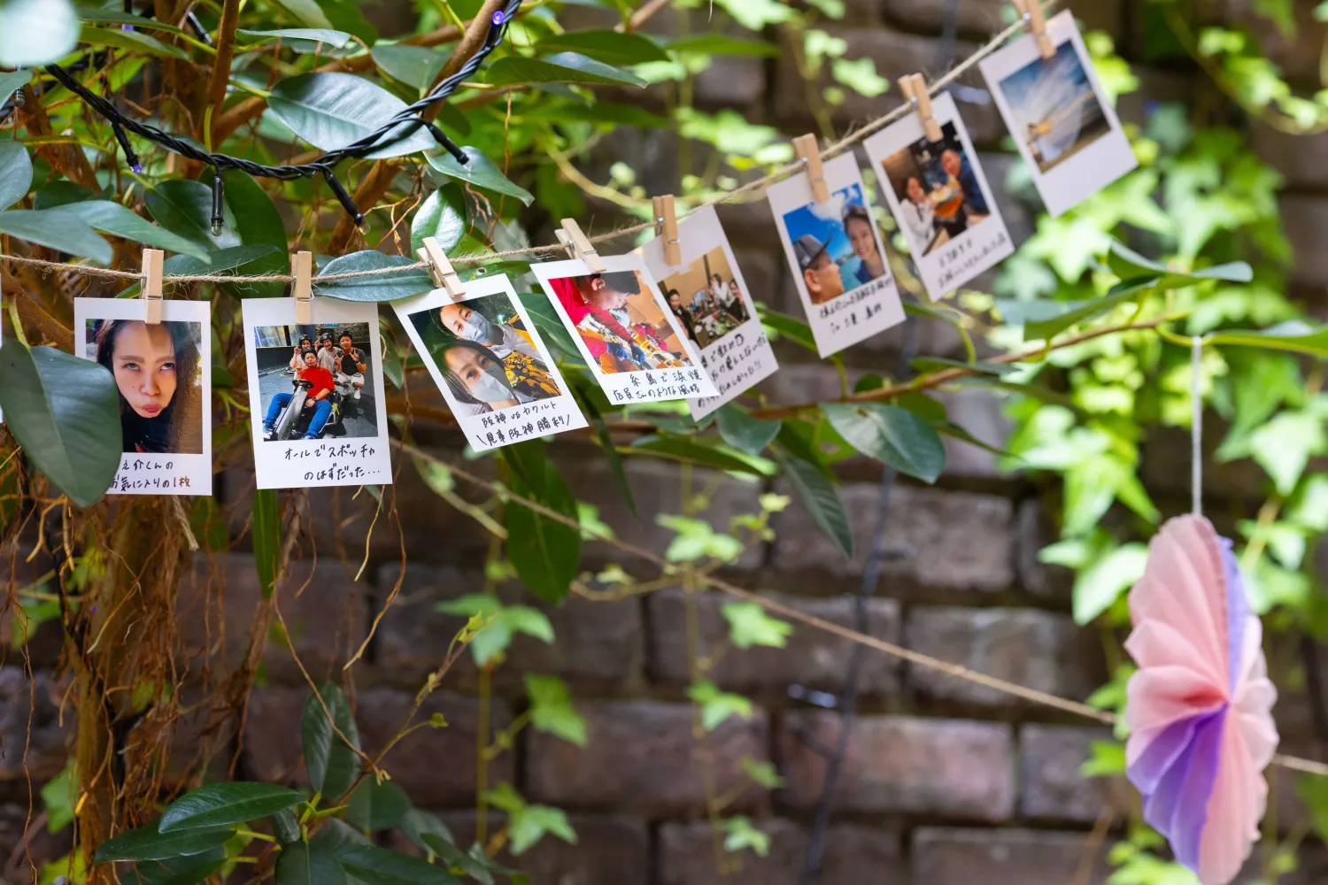 レポートギャラリー画像