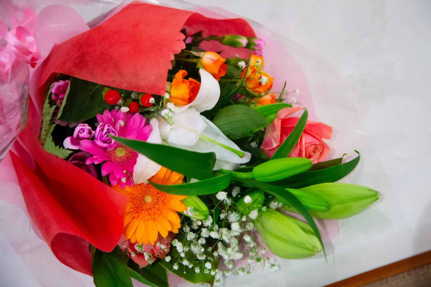 レポートギャラリー画像