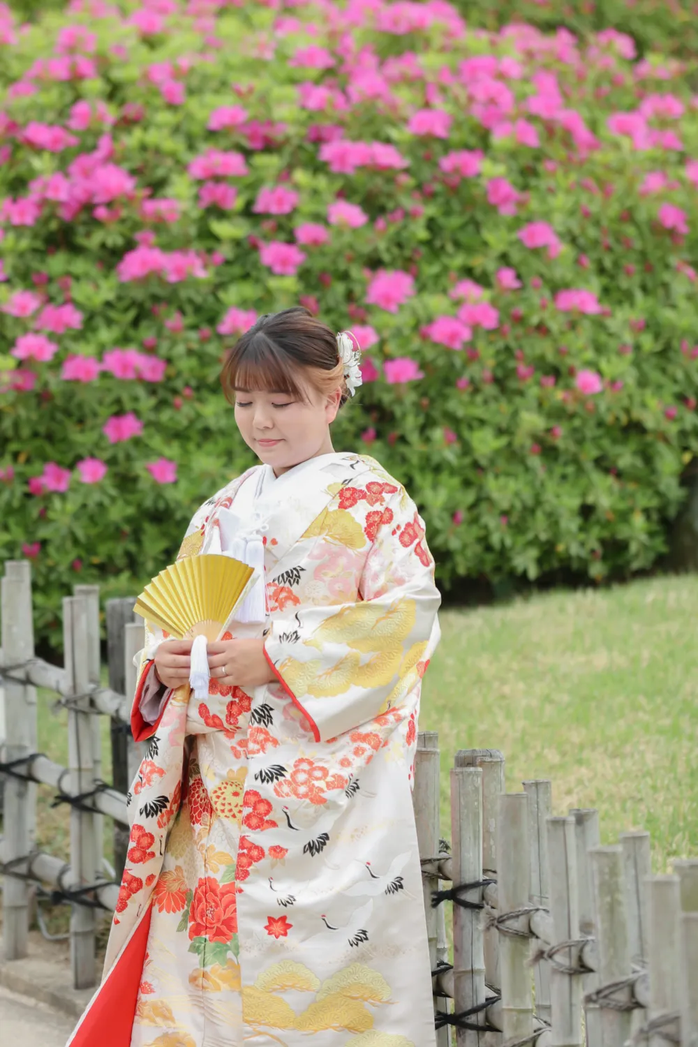 レポートギャラリー画像