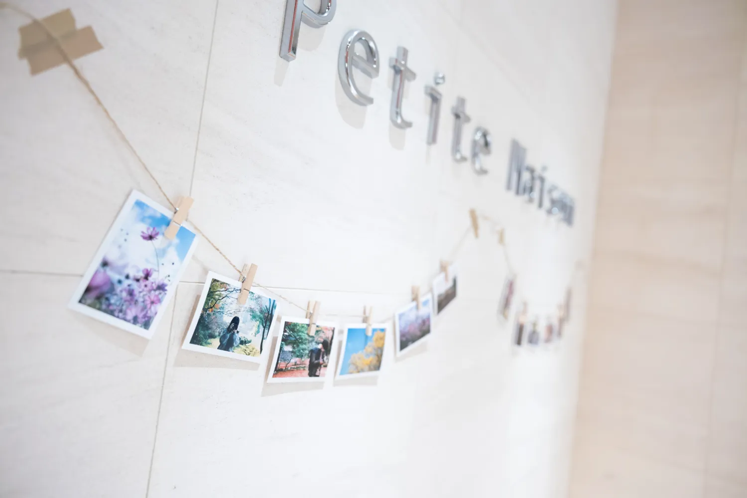 レポートギャラリー画像