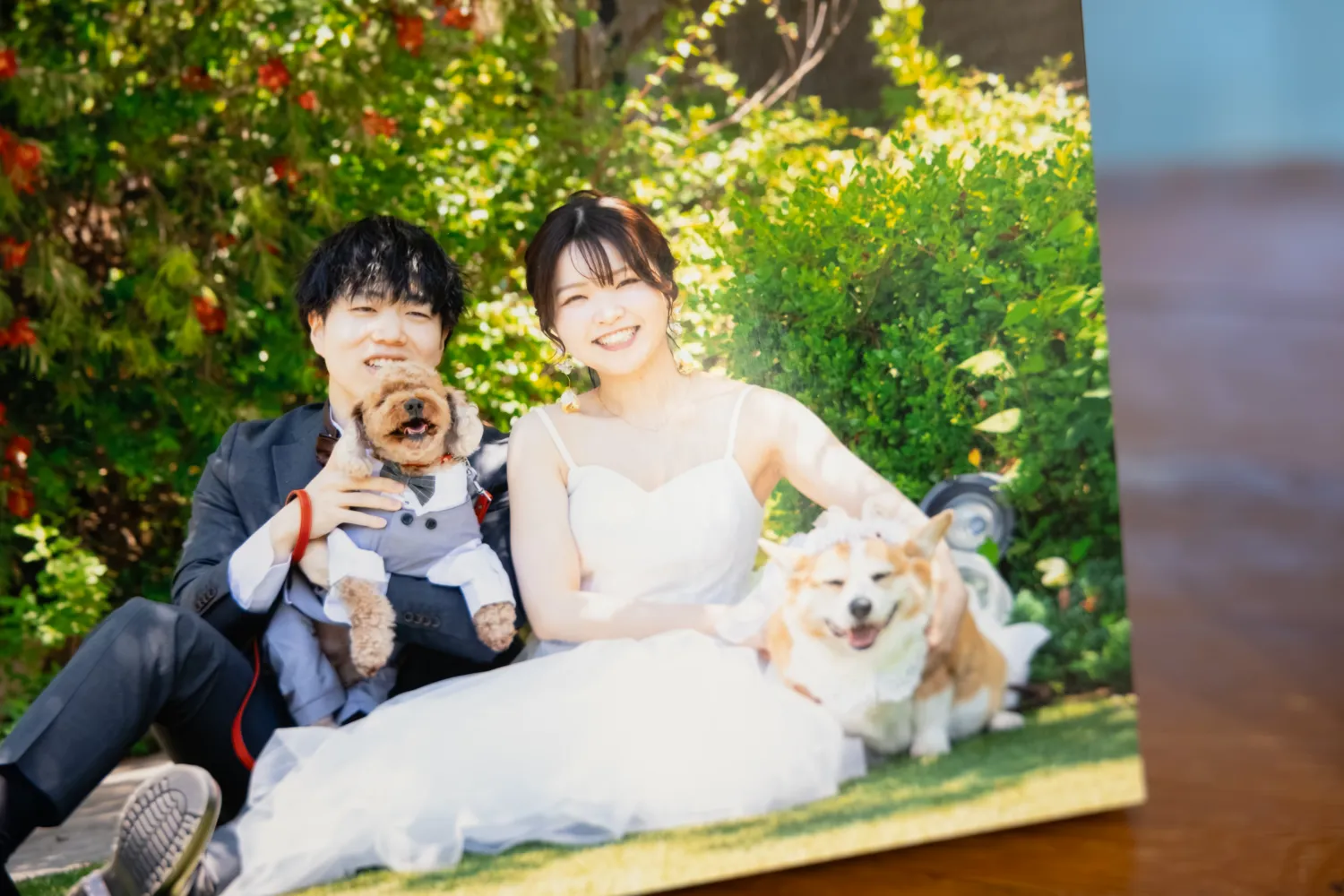 レポートギャラリー画像