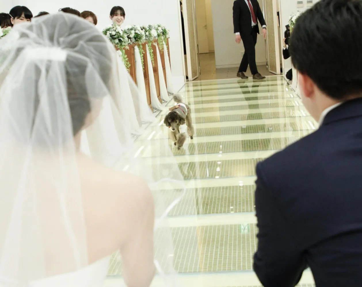 レポートギャラリー画像