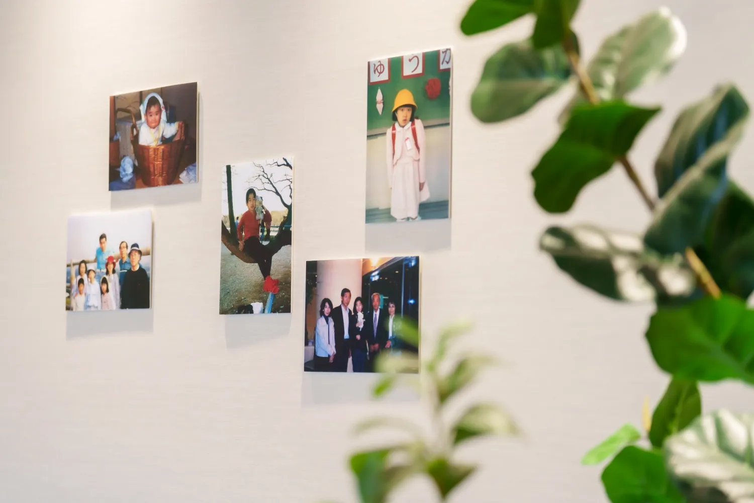 レポートギャラリー画像