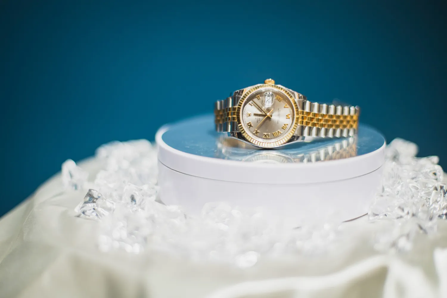 レポートギャラリー画像