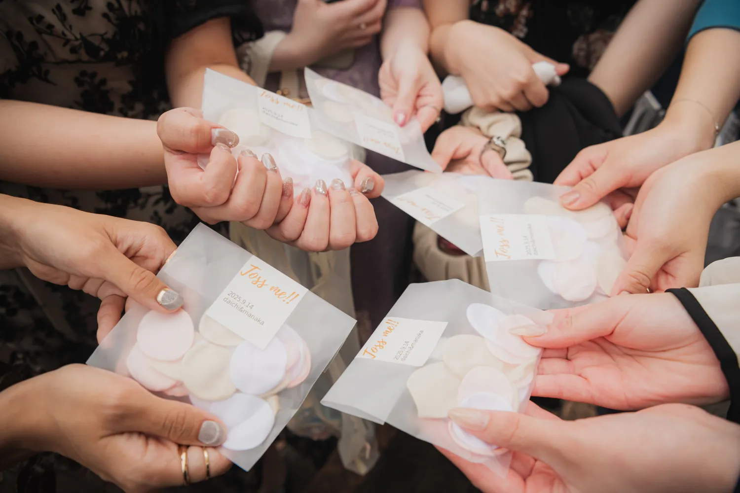 レポートギャラリー画像