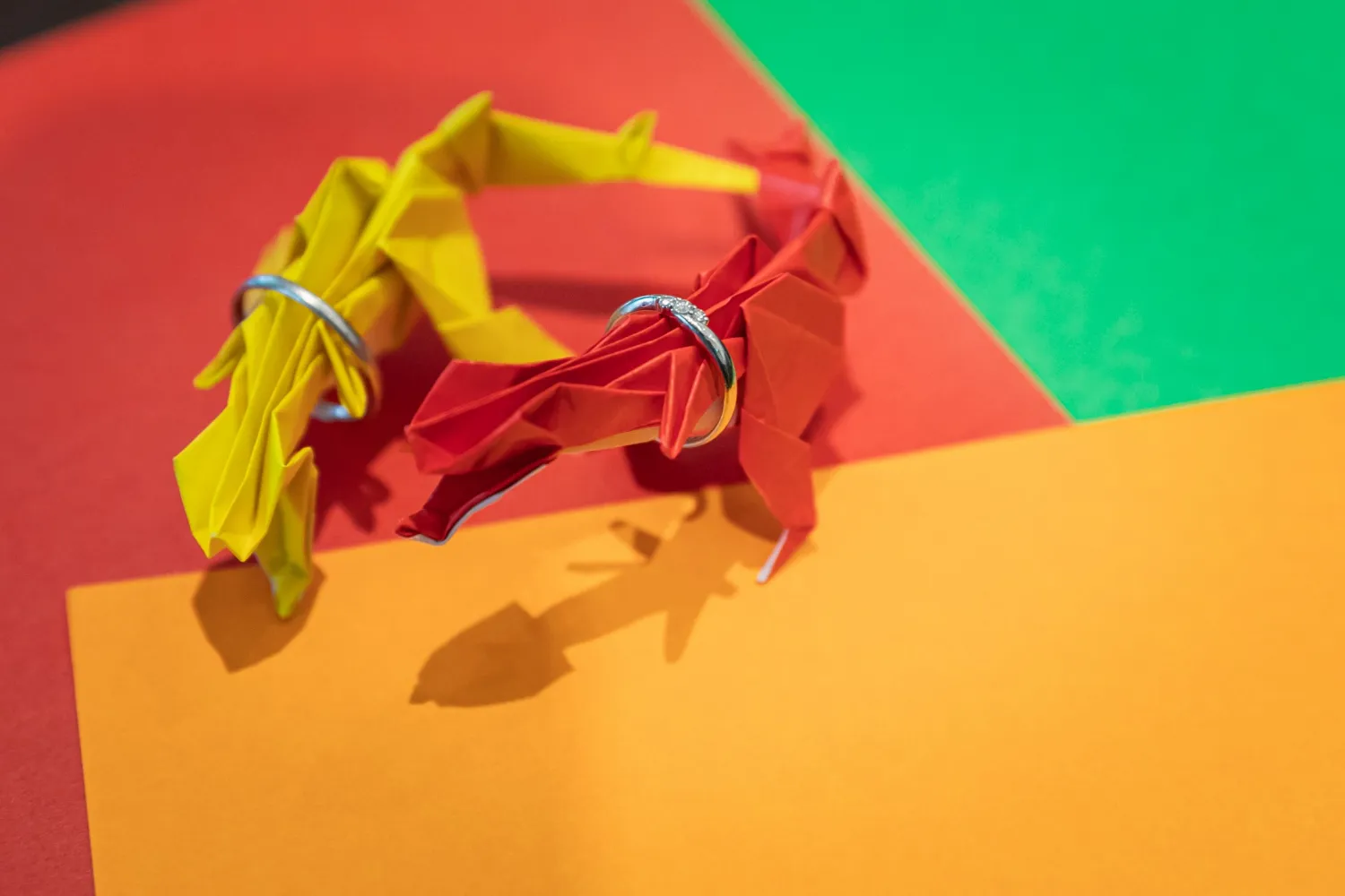 レポートギャラリー画像