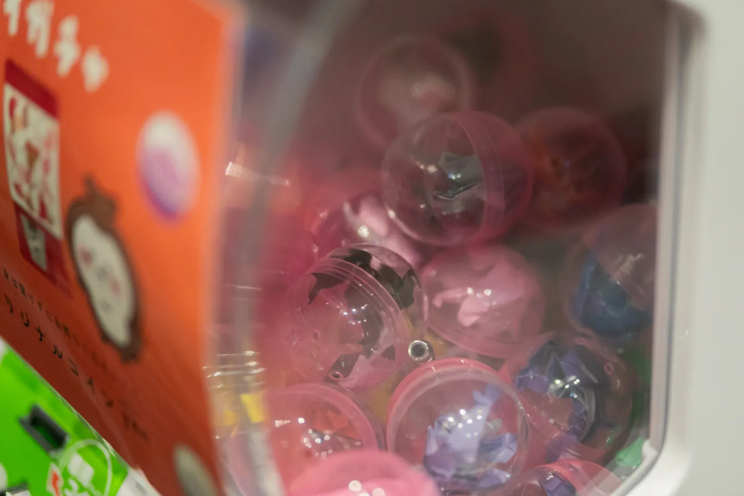 レポートギャラリー画像