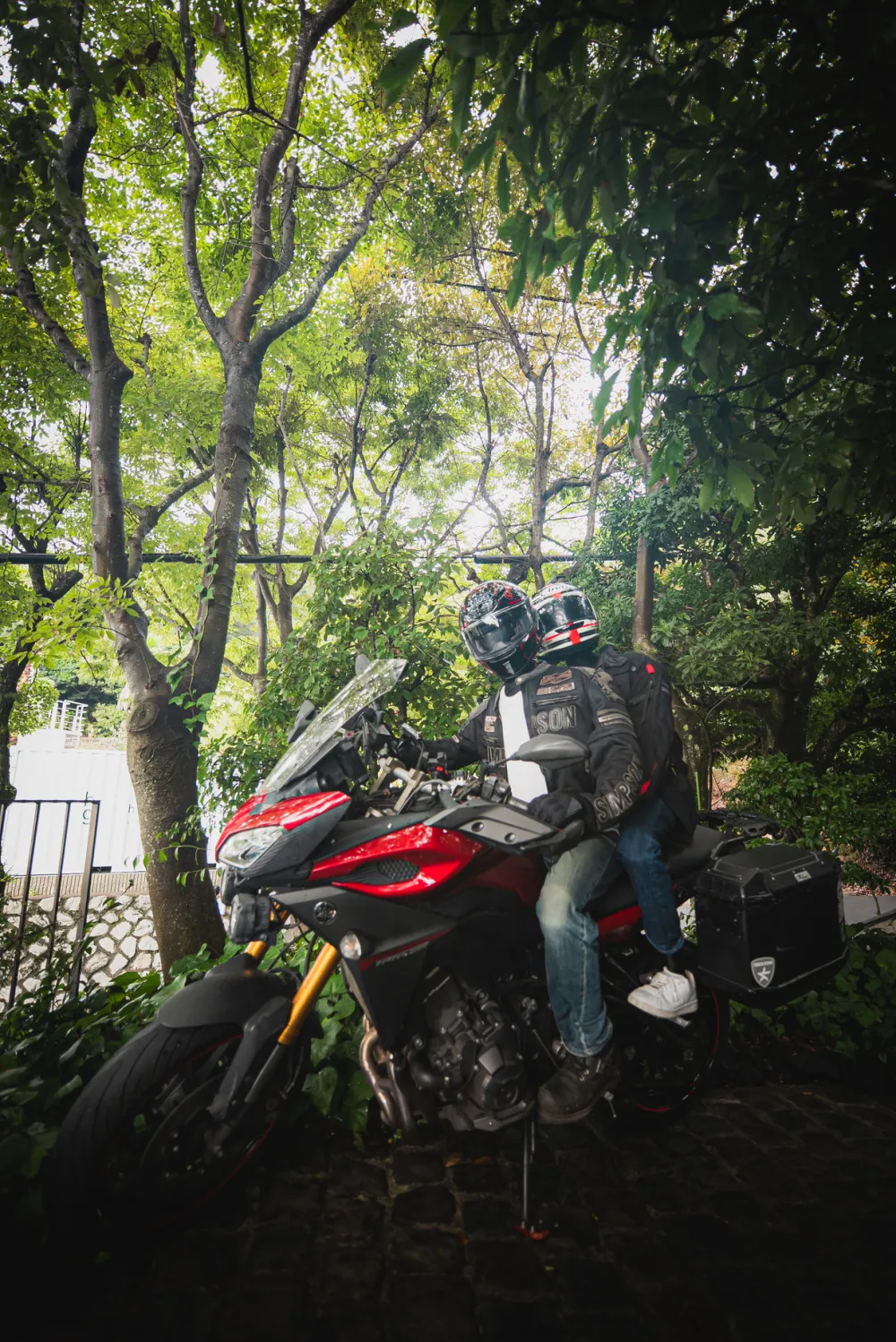 レポートギャラリー画像