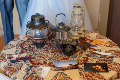 レポートギャラリー画像