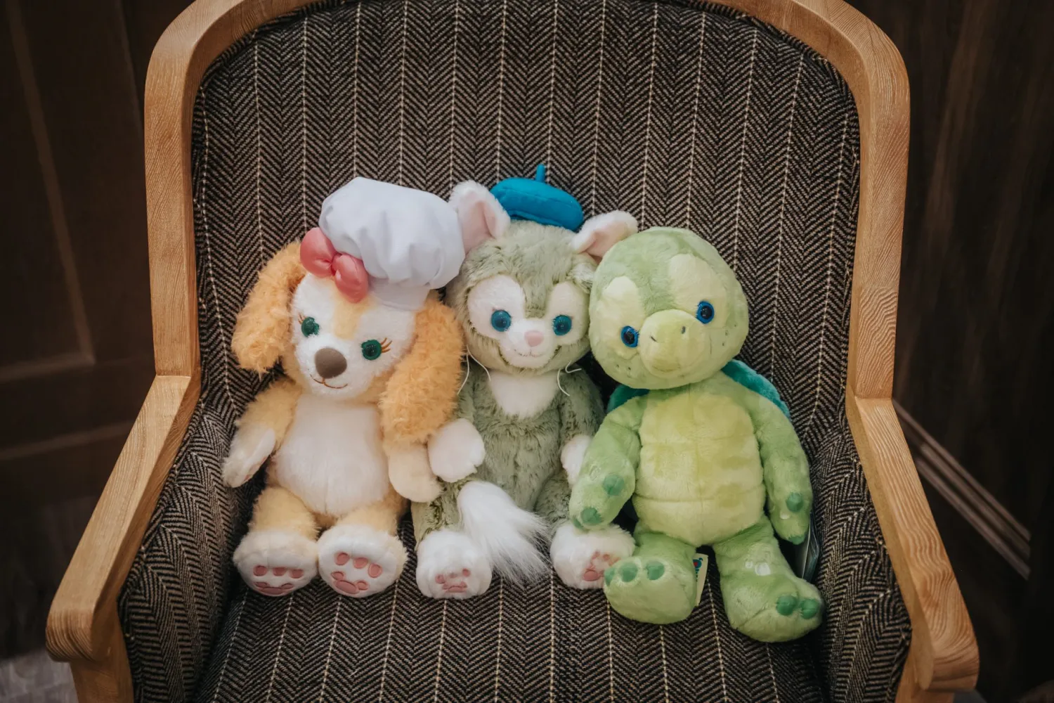 レポートギャラリー画像