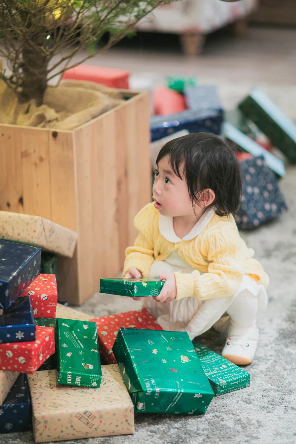 レポートギャラリー画像