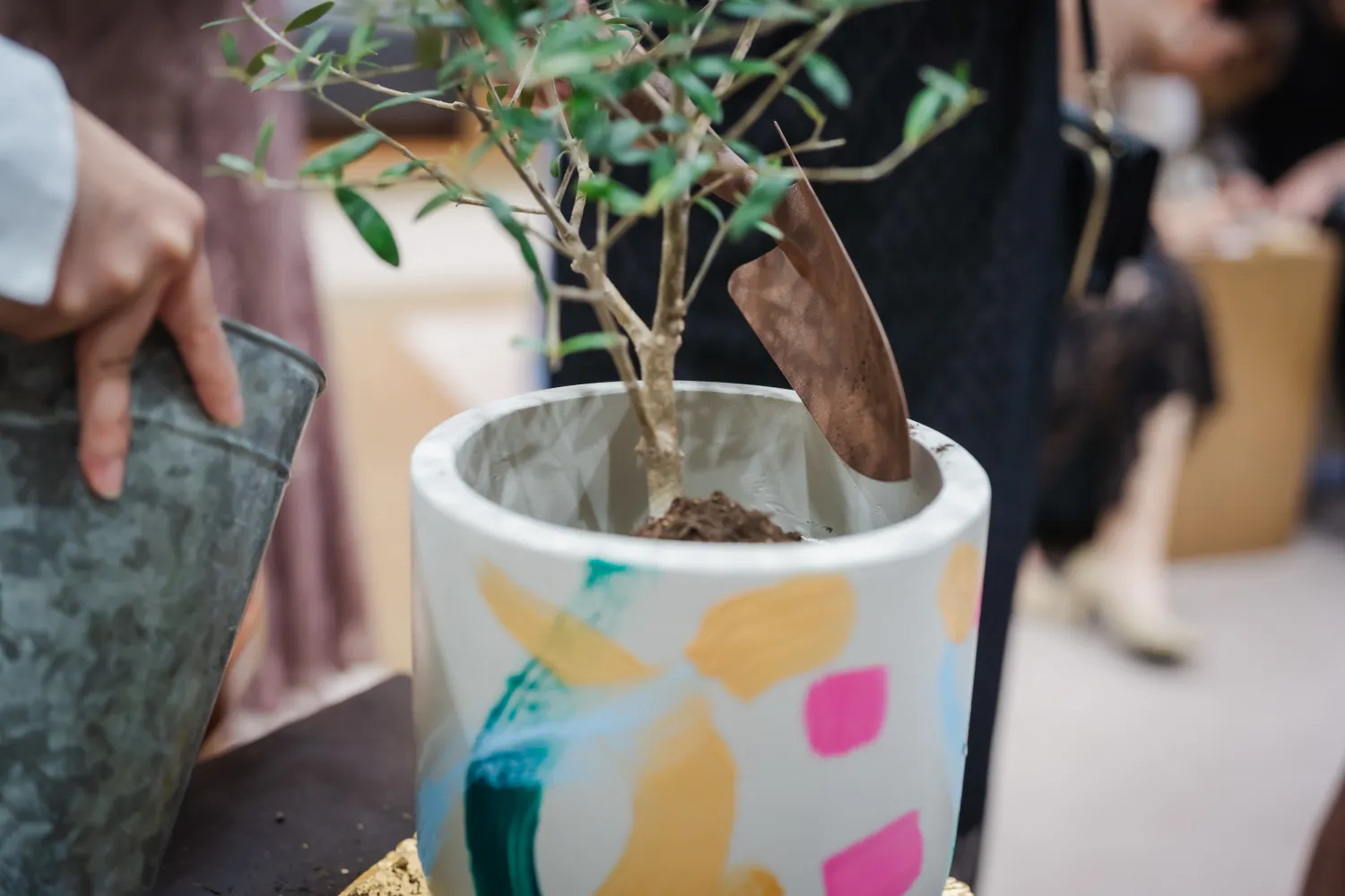 レポートギャラリー画像