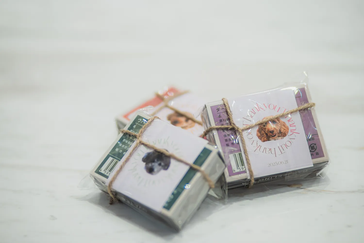 レポートギャラリー画像