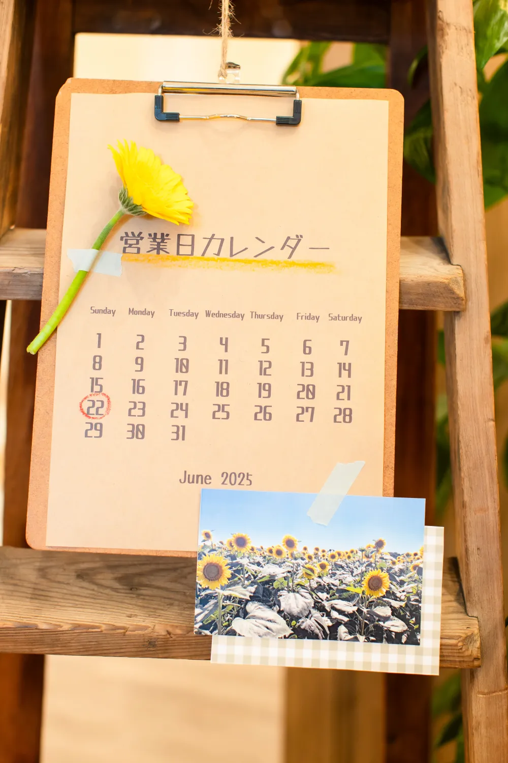 レポートギャラリー画像