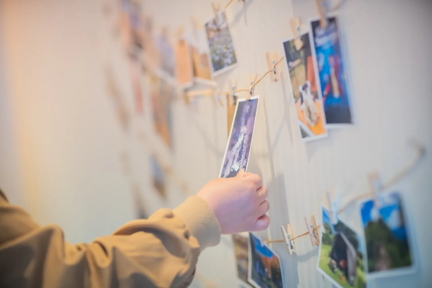 レポートギャラリー画像