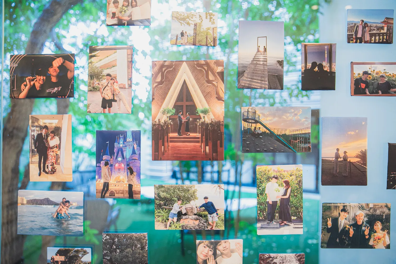 レポートギャラリー画像