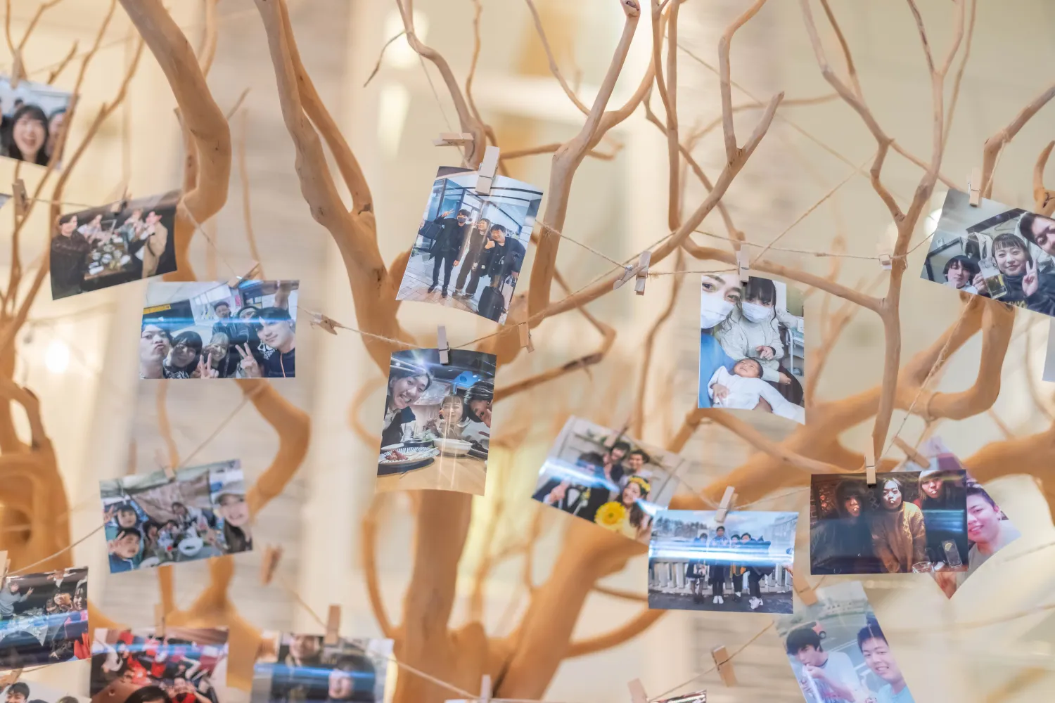 レポートギャラリー画像