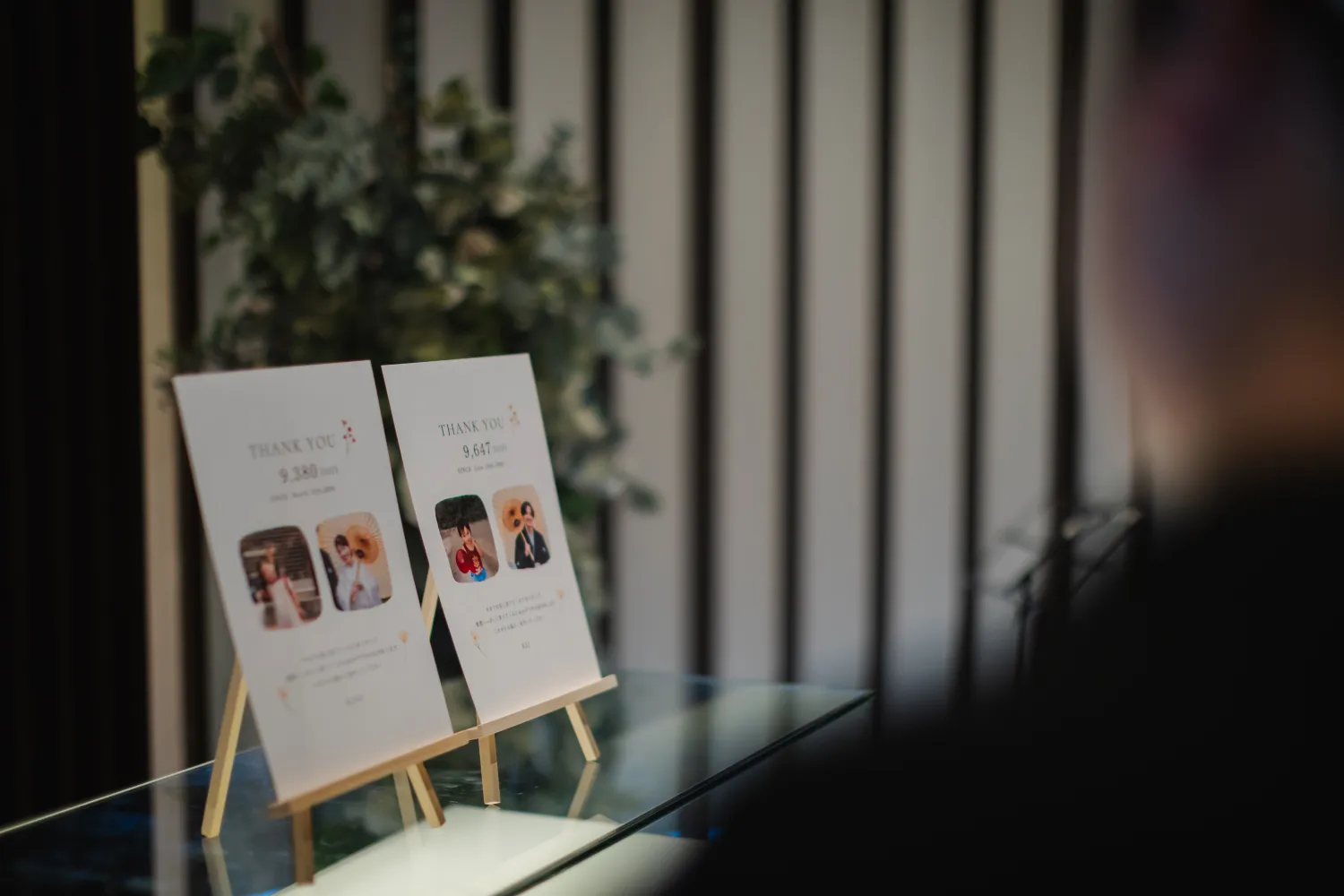 レポートギャラリー画像