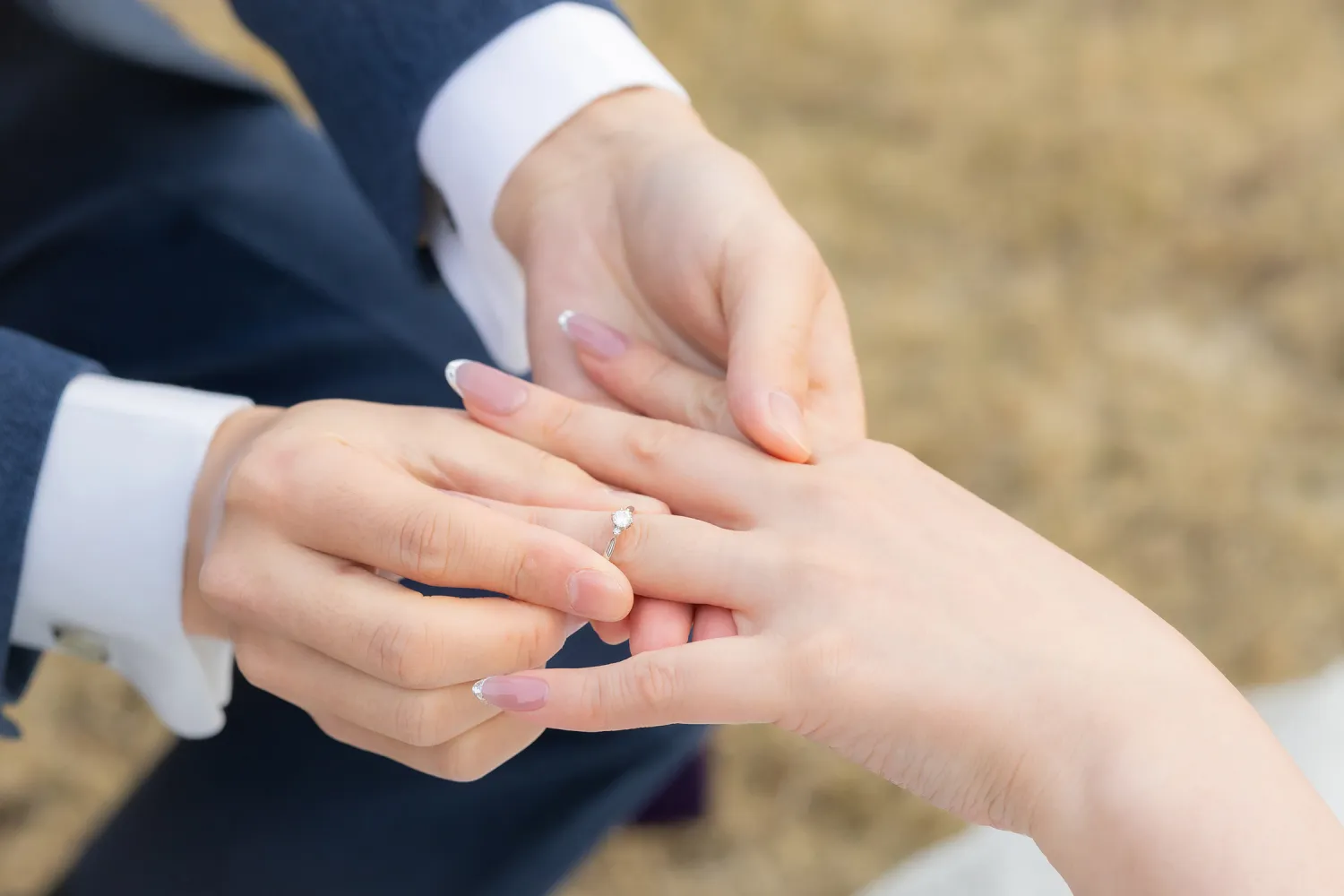 レポートギャラリー画像