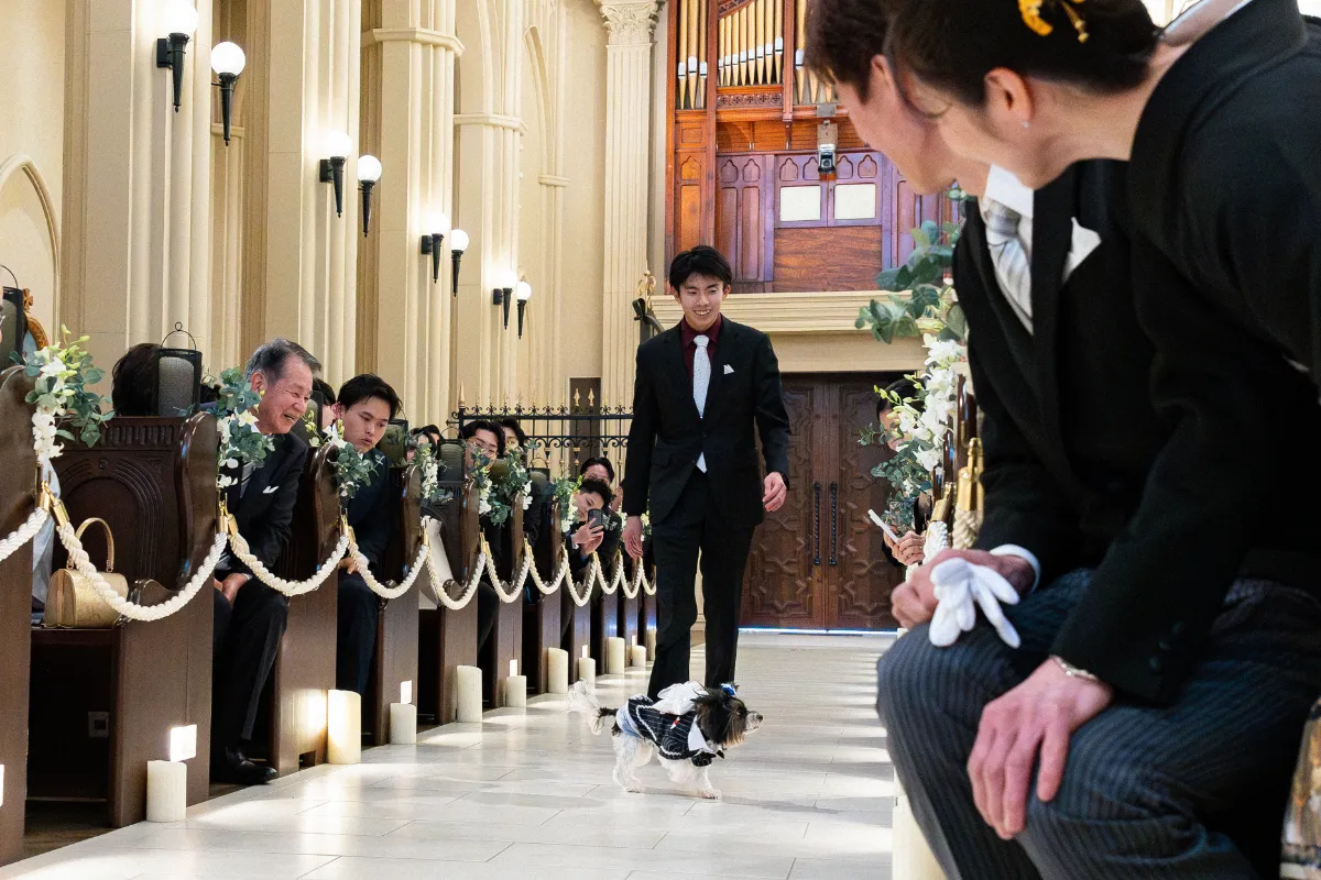 レポートギャラリー画像